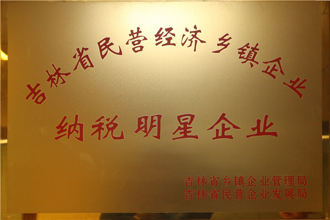 榮譽資質(zhì) (1).jpg