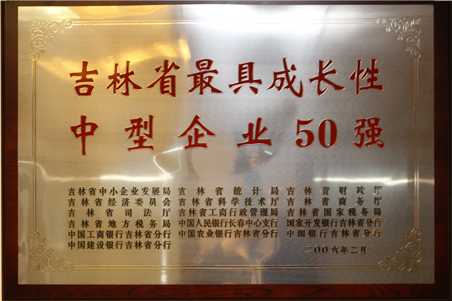 榮譽(yù)資質(zhì) (4).jpg
