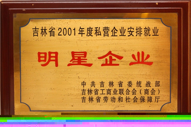 榮譽資質(zhì) (23).jpg